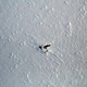 Illustration for article titled NASA Spots Wreckage Of Cold-War Era B-29 On Greenland Icesheet